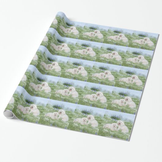 Papier Cadeau Bichon Frise Bleuets (Déroulé)