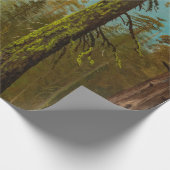 Papier Cadeau Bierstadt Peinture forestière géante Sequoia (Coin)