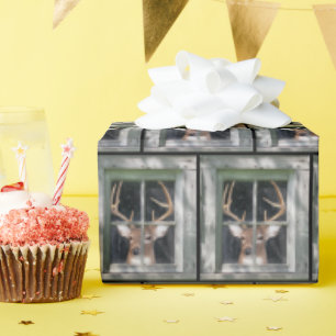 Papier Cadeau Big Buck Deer Dans La Fenêtre