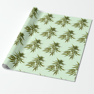 Papier Cadeau Big Green Buds sur Light Green Arrière - plan