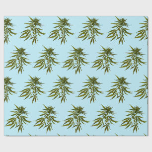 Papier Cadeau Big Green Buds sur Sky Blue Arrière - plan