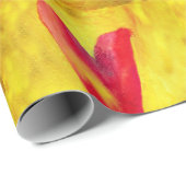 Papier Cadeau Big Red (Coin rond)