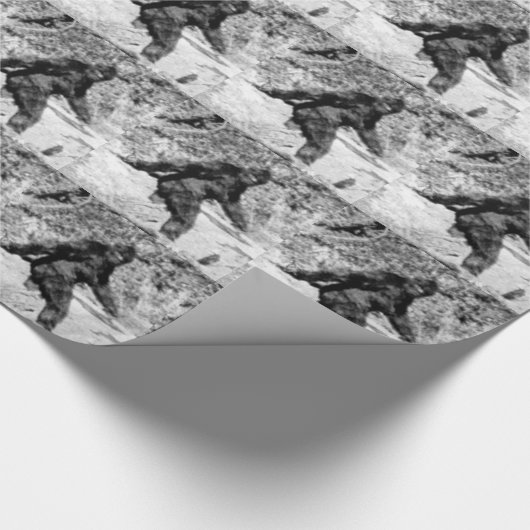 Papier Cadeau Bigfoot (Coin)