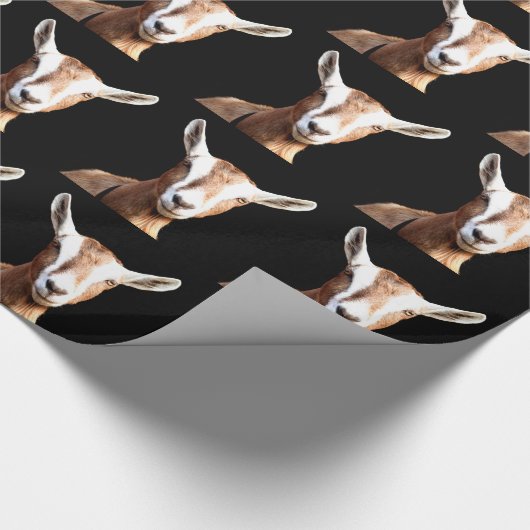 Papier Cadeau Billy (Coin)