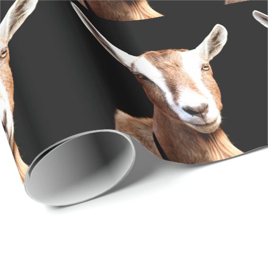 Papier Cadeau Billy (Coin rond)