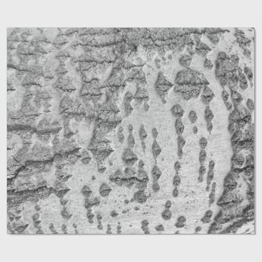 Papier Cadeau Birch bark pattern wrapping paper (Plat)