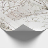 Papier Cadeau Birch Tree (Coin)