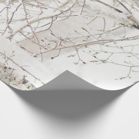 Papier Cadeau Birch Tree (Coin)