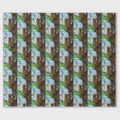 Papier Cadeau Birdhouse Tabby Cat Napping (Plat)