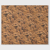 Papier Cadeau biscuit à puce chocolat (Plat)