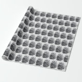 Papier Cadeau Bison d'Amérique (Déroulé)