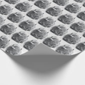 Papier Cadeau Bison d'Amérique (Coin)