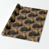 Papier Cadeau Bison d'Amérique (Déroulé)