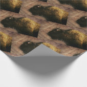 Papier Cadeau Bison d'Amérique (Coin)