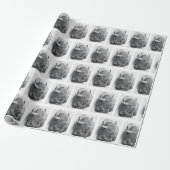 Papier Cadeau Bison d'Amérique (Déroulé)
