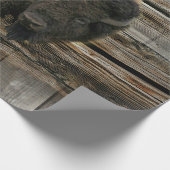 Papier Cadeau Bison de bois (Coin)