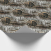 Papier Cadeau Bison de bois (Coin)
