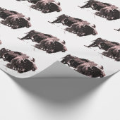 Papier Cadeau Bison de Buffalo (Coin)