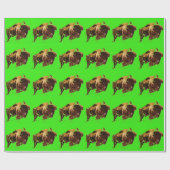 Papier Cadeau Bison de Buffalo (Plat)