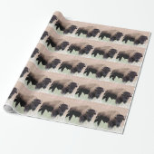 Papier Cadeau Bison de Buffalo (Déroulé)