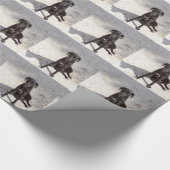 Papier Cadeau Black dog avec evil eye (Coin)