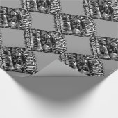 Papier Cadeau Black Hawk (Coin)
