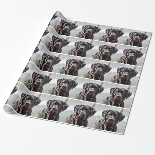 Papier Cadeau Black Lab Chien Animal de compagnie Black Labrador (Déroulé)