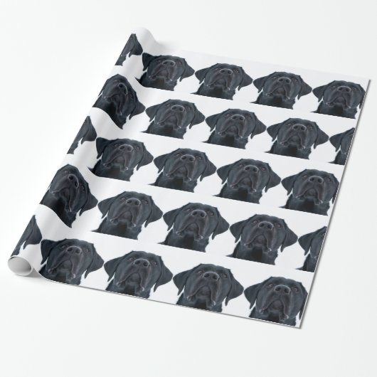 Papier Cadeau Black Labrador Facing (Déroulé)