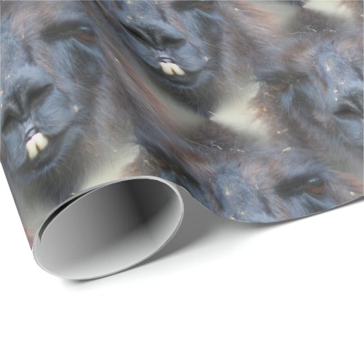 Papier Cadeau Black Llama Face (Coin rond)