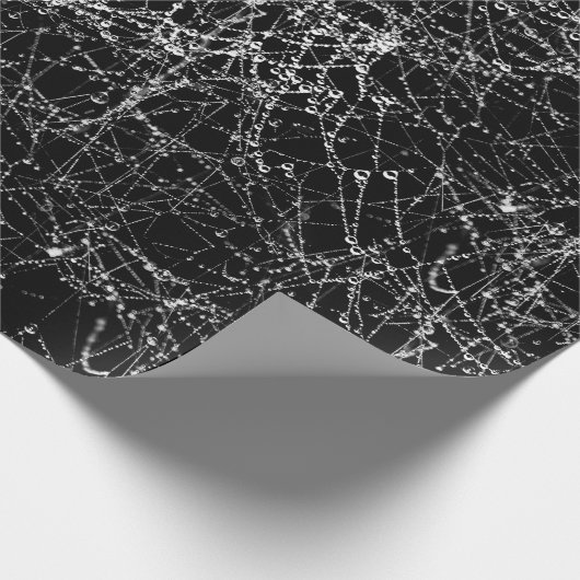 Papier Cadeau Black & Silvery Spider Webs Chic Halloween Party (Coin)
