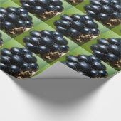 Papier Cadeau Blackberry (Coin)