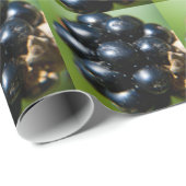 Papier Cadeau Blackberry (Coin rond)