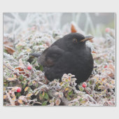 Papier Cadeau Blackbird d'hiver (Plat)
