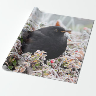 Papier Cadeau Blackbird d'hiver