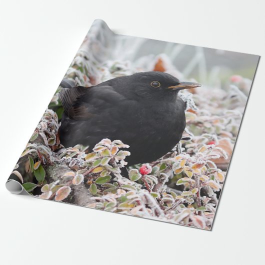 Papier Cadeau Blackbird d'hiver (Déroulé)
