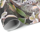 Papier Cadeau Blackbird d'hiver (Coin rond)