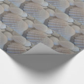 Papier Cadeau Blanc gris, Coquillages, Sea Shell Summer Beach Lo (Coin)