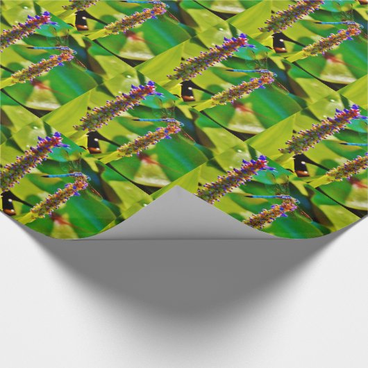 Papier Cadeau Bleu libellule et fleurs (Coin)