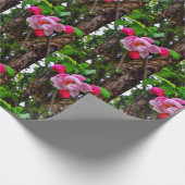 PAPIER CADEAU BLOSSOM DE POMME (Coin)