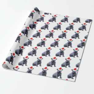 Papier Cadeau Blue Frenchie Bulldog Santa Hat