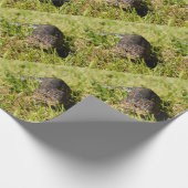 Papier Cadeau Blue Tongue Lizard Creeping (Coin)