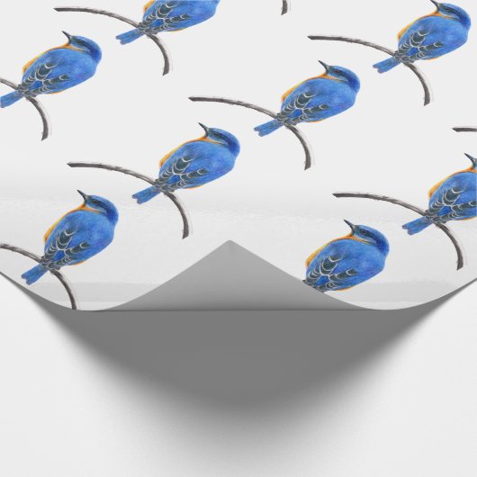 Papier Cadeau Bluebird (Coin)