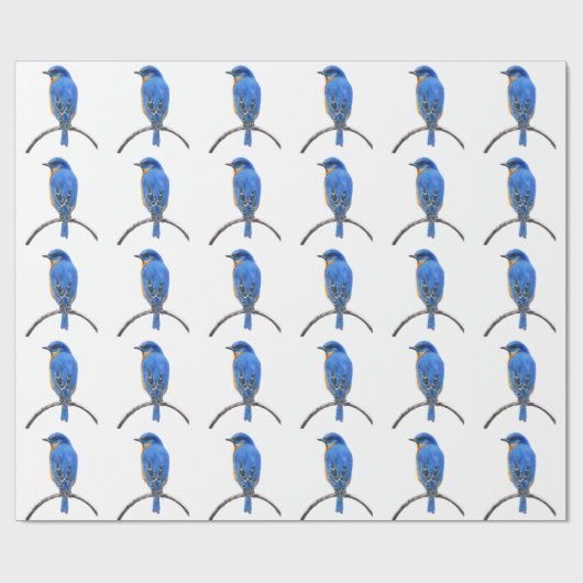 Papier Cadeau Bluebird (Plat)