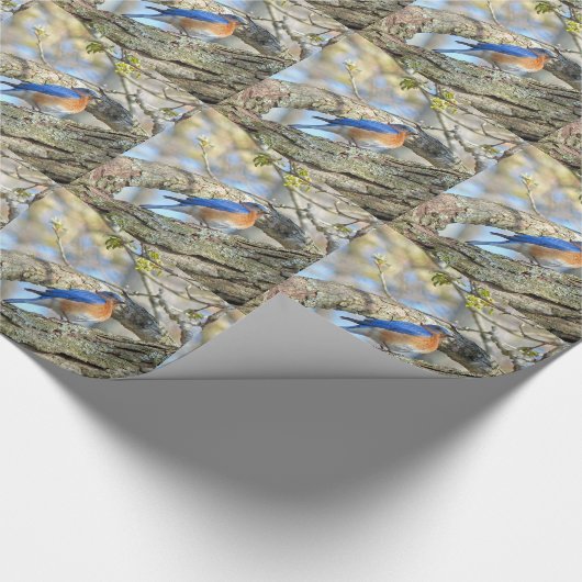 Papier Cadeau Bluebird (Coin)