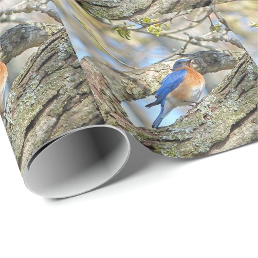 Papier Cadeau Bluebird (Coin rond)