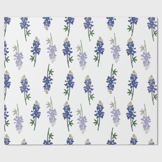 Papier Cadeau Bluebonnet (Plat)