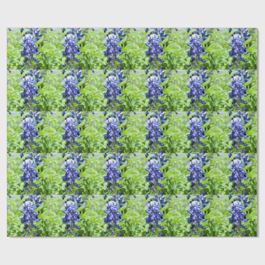 Papier Cadeau Bluebonnets (Plat)