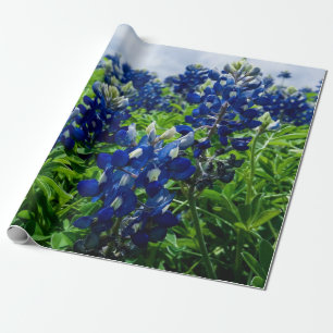 Papier Cadeau Bluebonnets Blue Floral Texas Texan Elegant