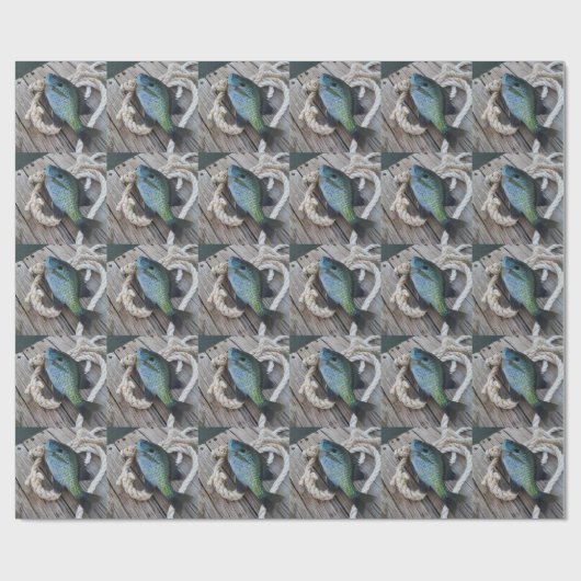 Papier Cadeau bluegill sur quai (Plat)