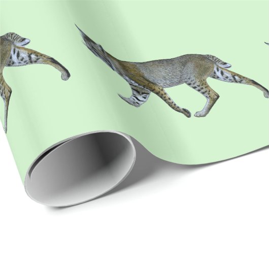 Papier Cadeau Bobcat (Coin rond)